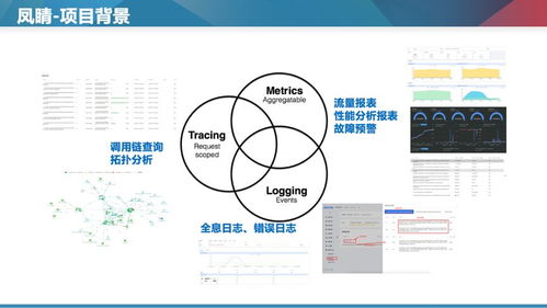 Apache Doris 在商業(yè)大規(guī)模微服務(wù)全鏈路監(jiān)控中的數(shù)據(jù)處理服務(wù)實踐